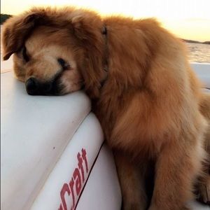 Meet your Posher, Aubrey